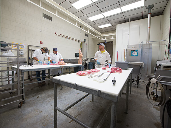 Students working on the Meat Science Lab.
