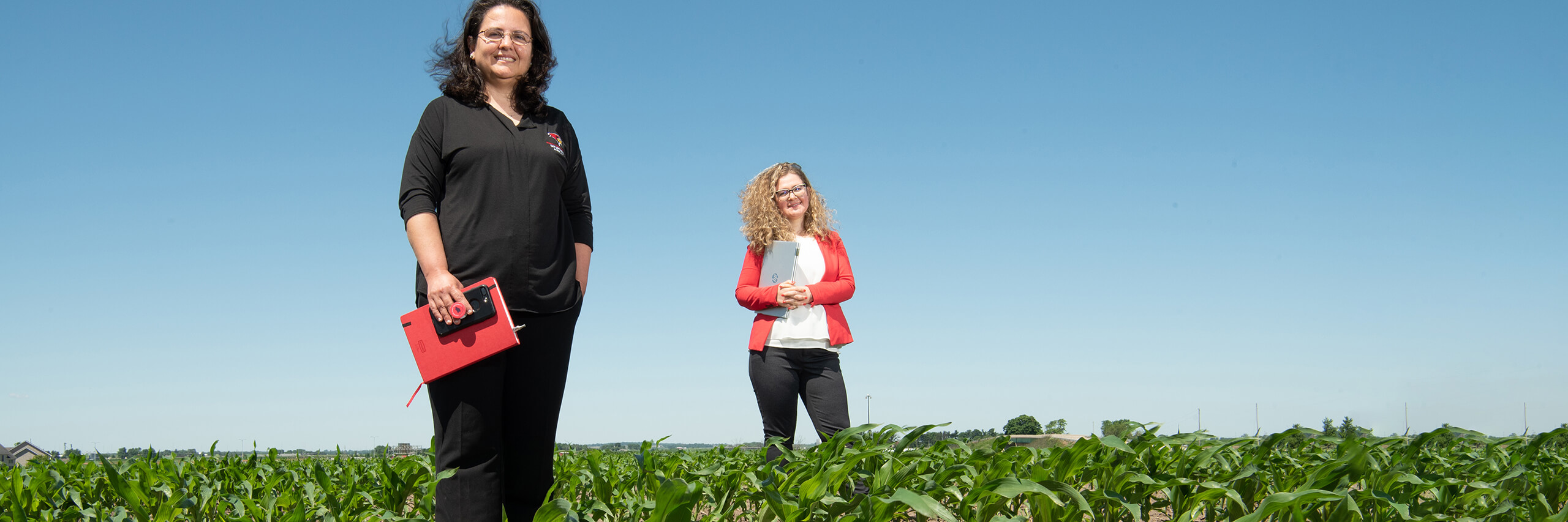 Staff posing in a corn field.